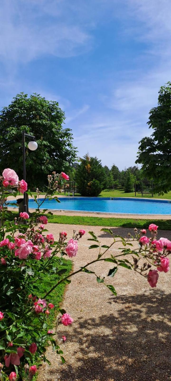 Lighthouse Golf Apart Complex&Villas Bałczik Zewnętrze zdjęcie
